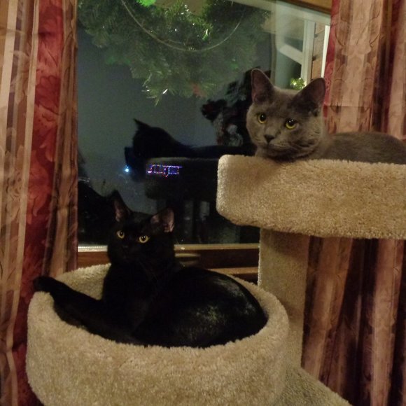 Welcome to my Large eclectic closet - Picture 9 of 10